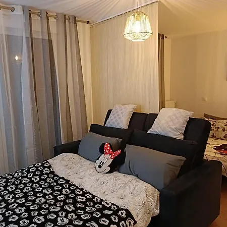 - Paris 5 Min De - Pk Prive Gratuit - 4 Personnes - Terrasse Jardin * Chessy (Seine-et-Marne)